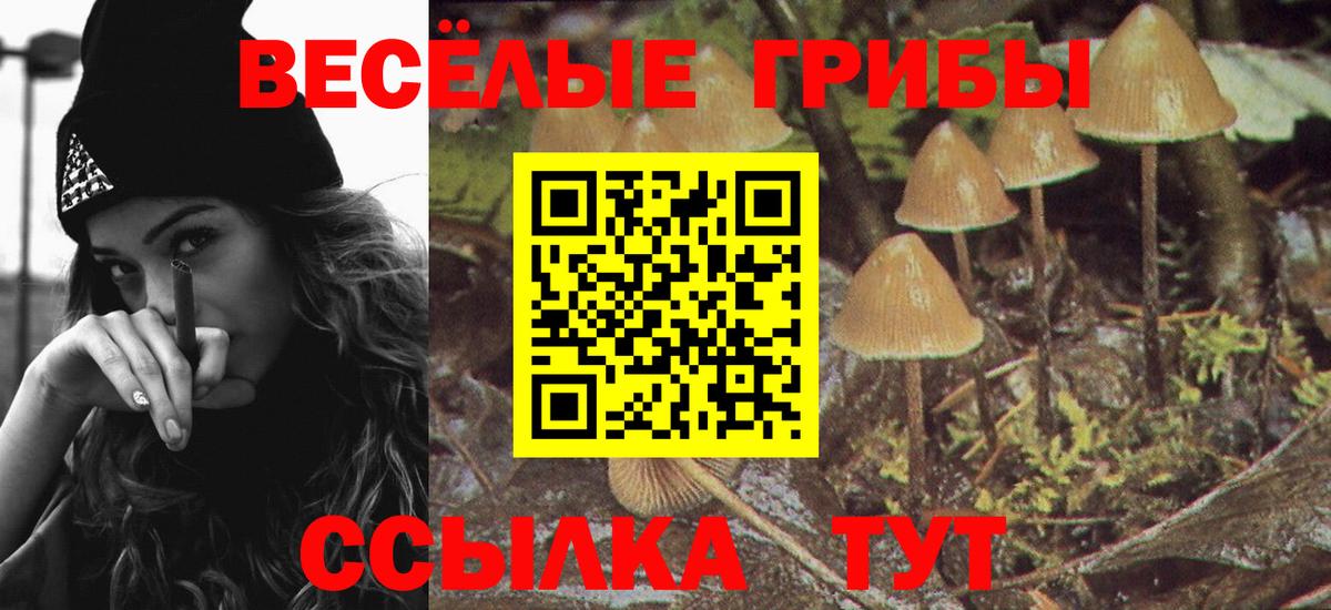 Кимовск  Псилоцибиновые грибы Cubensis  Вход с VPN  купить наркоту  Галлюциногенные грибы GOLDEN TEACHER 